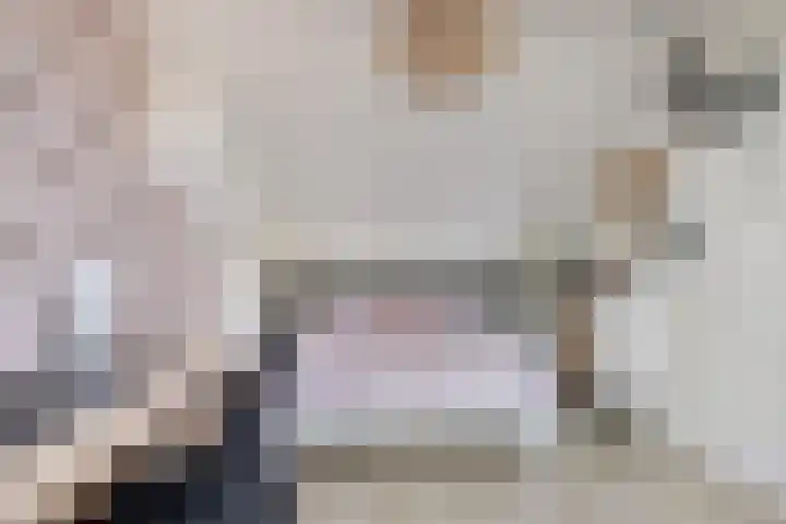 Singel 38 Didam thumbnail 29