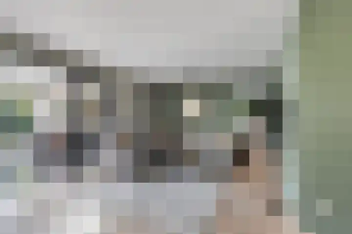 Singel 38 Didam foto 3