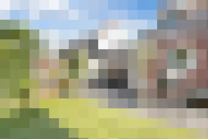 Singel 38 Didam thumbnail 33