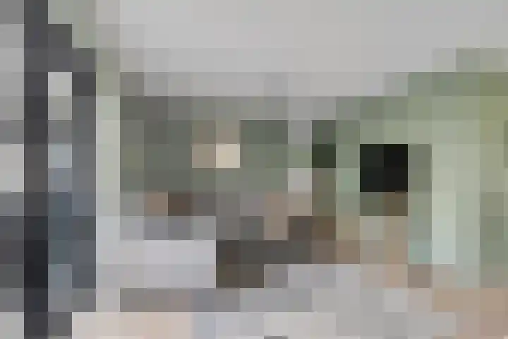 Singel 38 Didam thumbnail 5