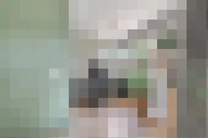 Singel 38 Didam thumbnail 7