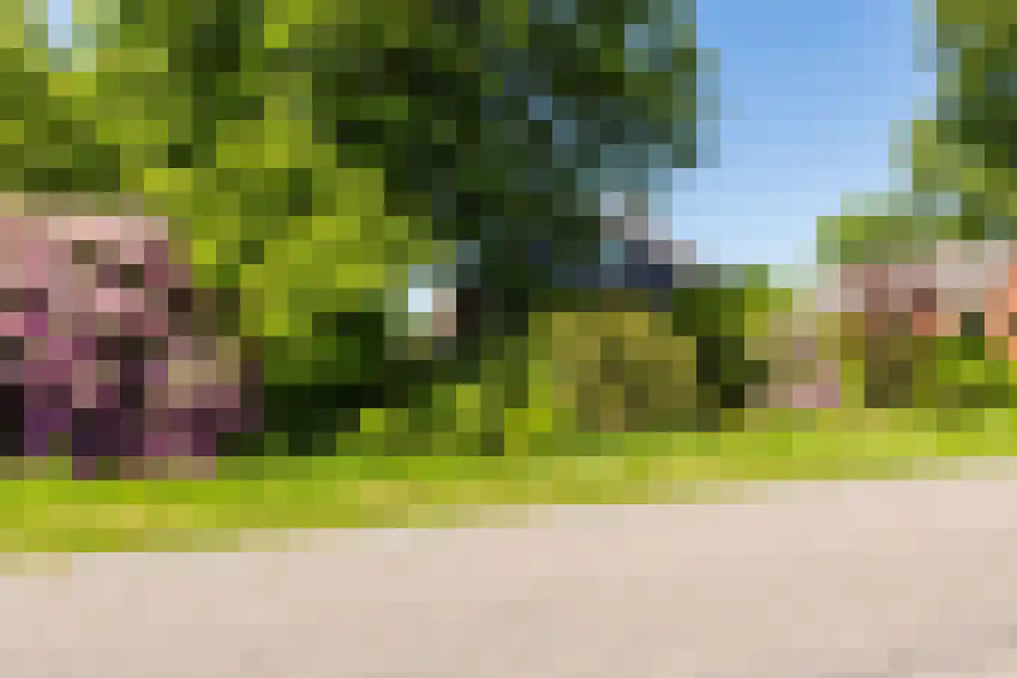 Singel 38 Lippenhuizen thumbnail 10