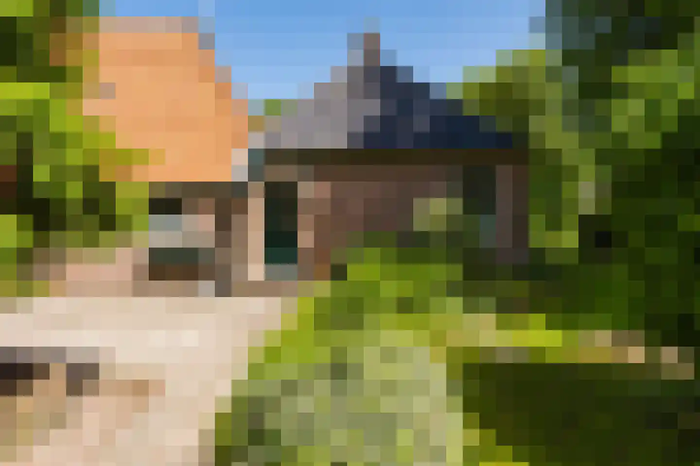 Singel 38 Lippenhuizen thumbnail 14