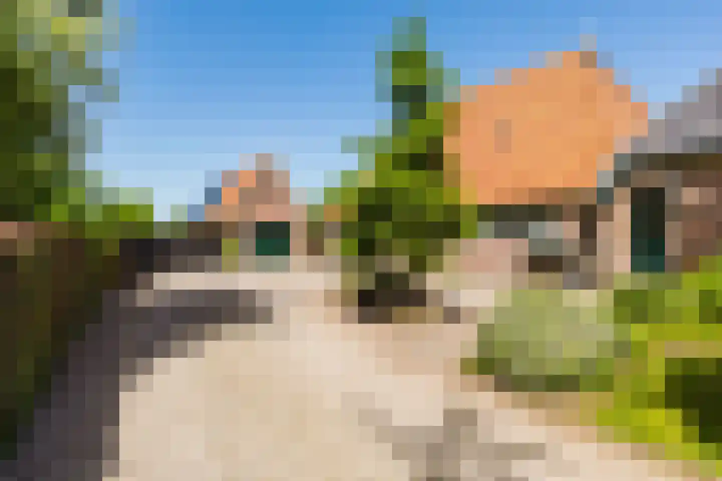 Singel 38 Lippenhuizen thumbnail 16