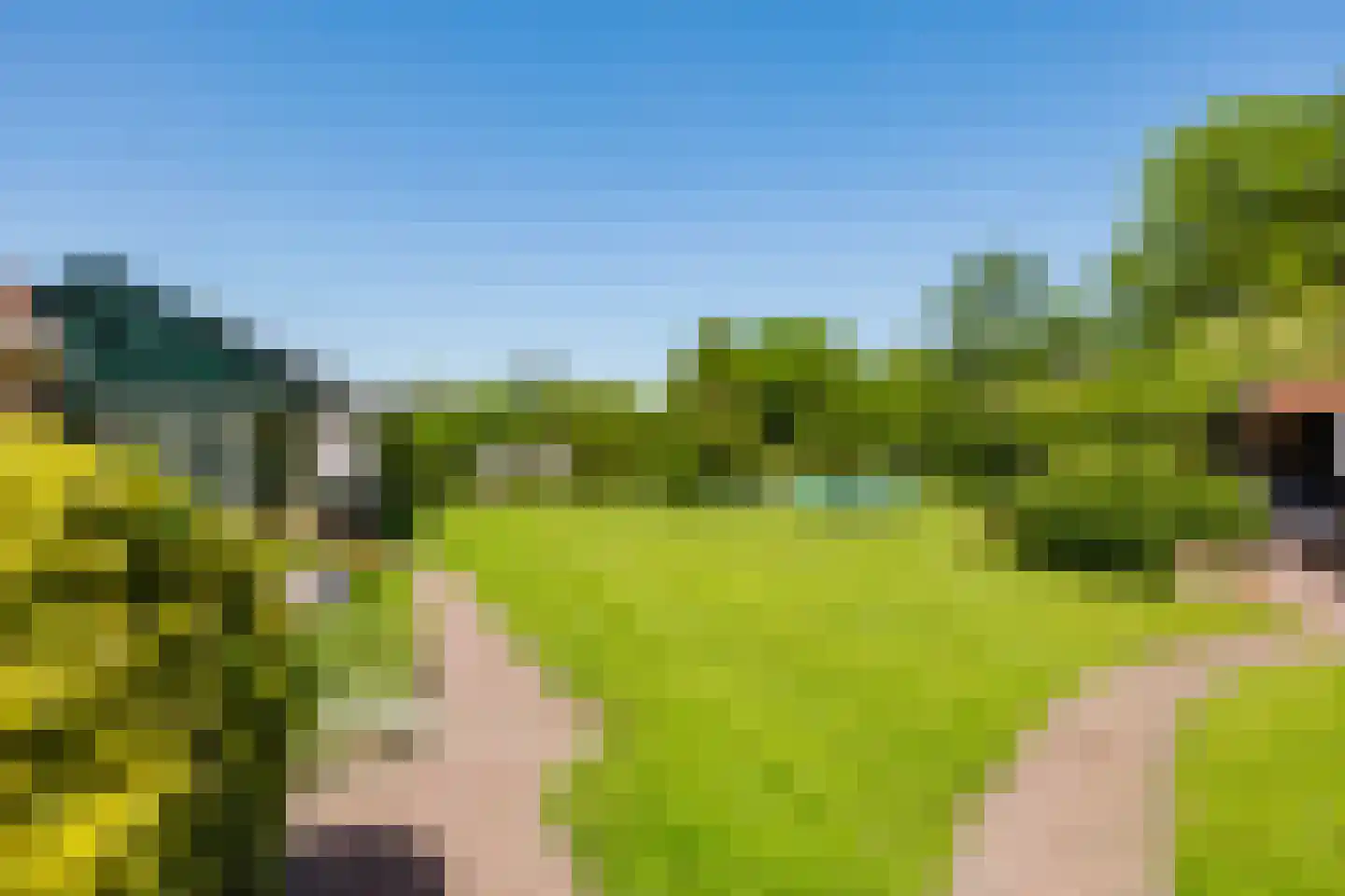 Singel 38 Lippenhuizen thumbnail 17