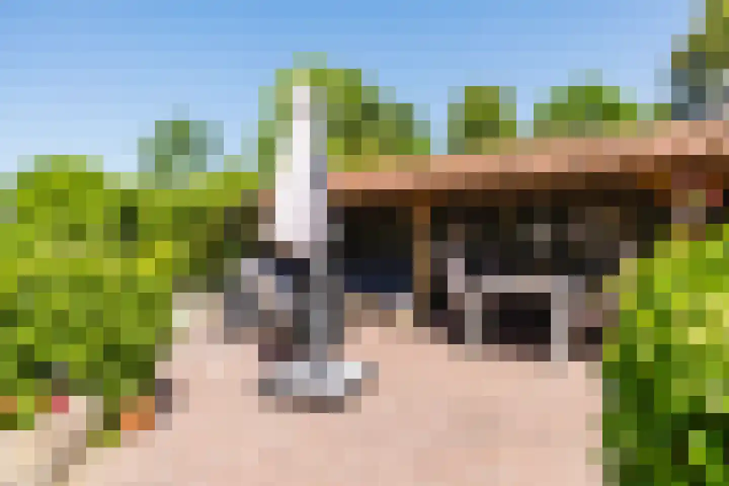 Singel 38 Lippenhuizen thumbnail 18