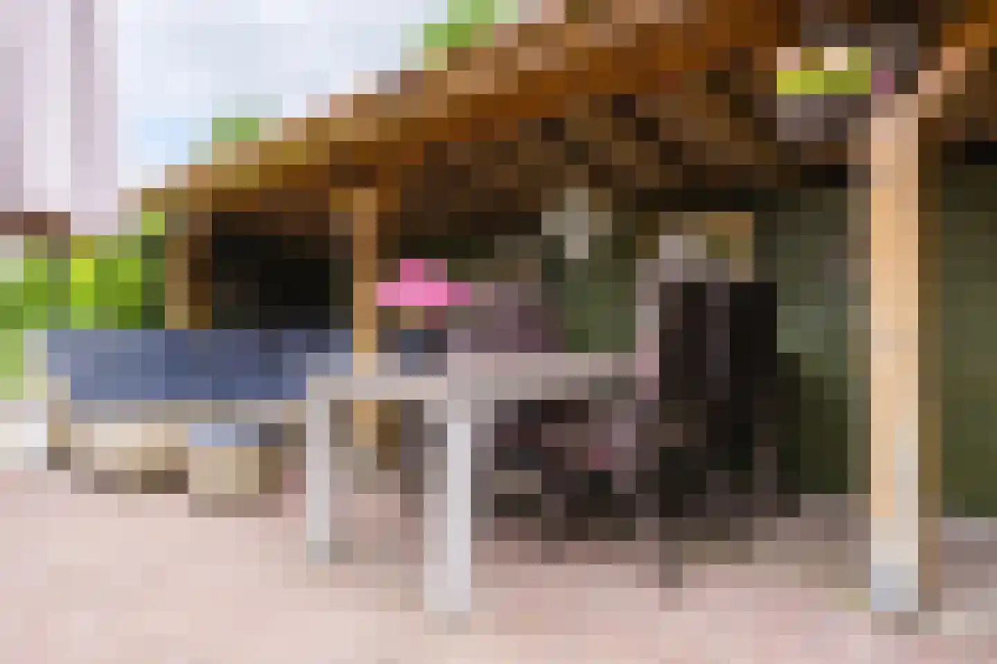 Singel 38 Lippenhuizen thumbnail 19
