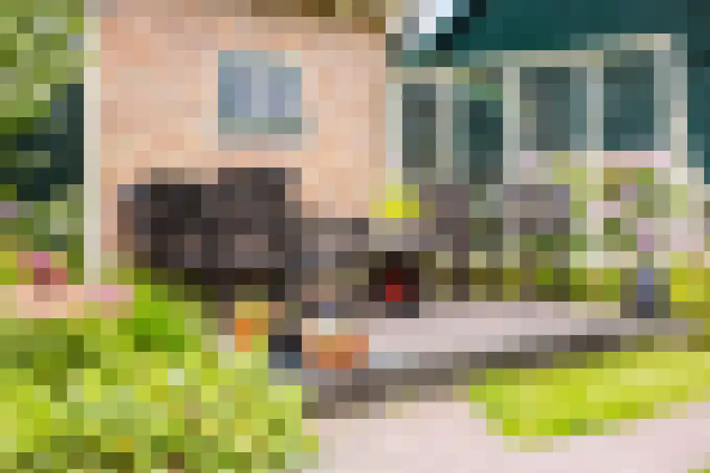 Singel 38 Lippenhuizen thumbnail 20