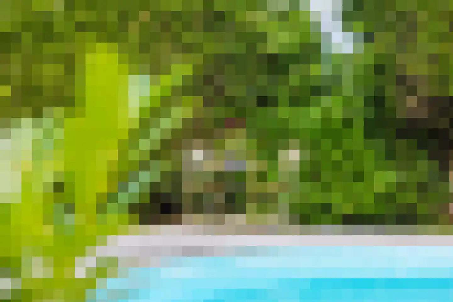 Singel 38 Lippenhuizen thumbnail 30