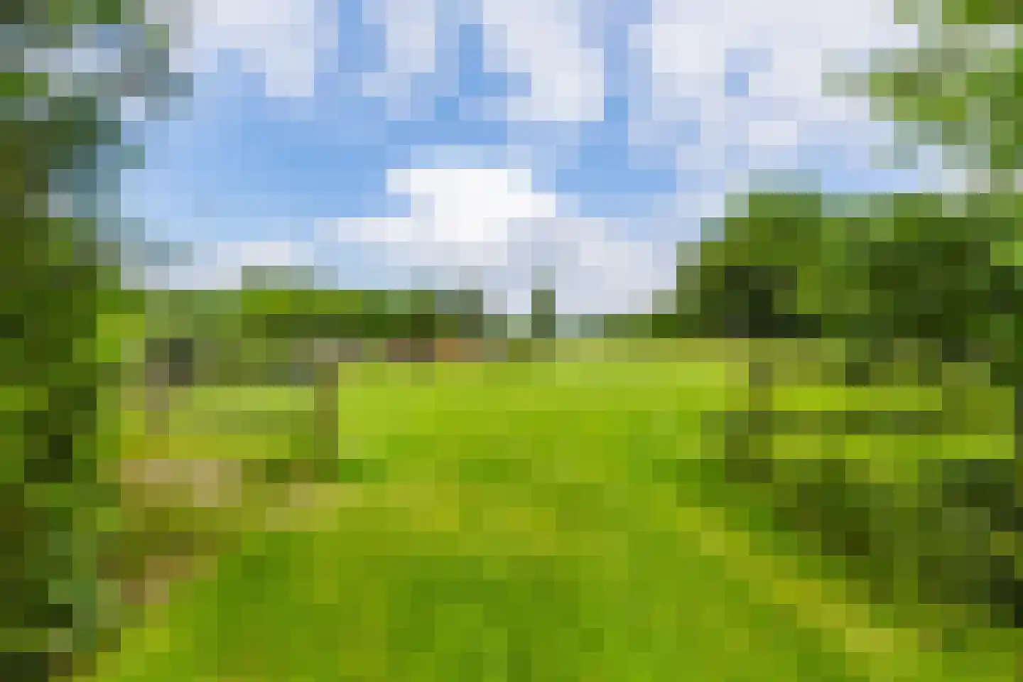 Singel 38 Lippenhuizen thumbnail 31