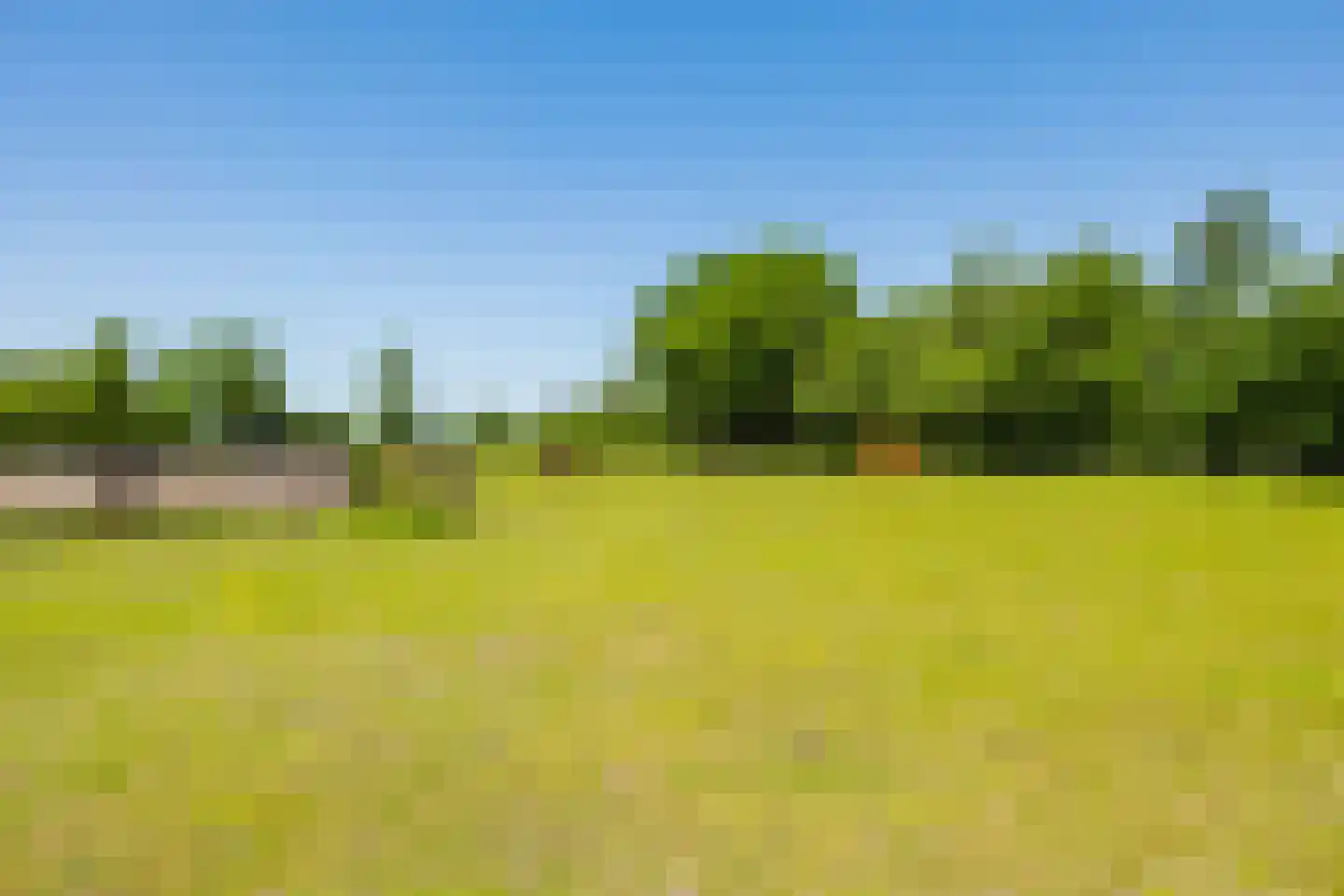 Singel 38 Lippenhuizen thumbnail 32