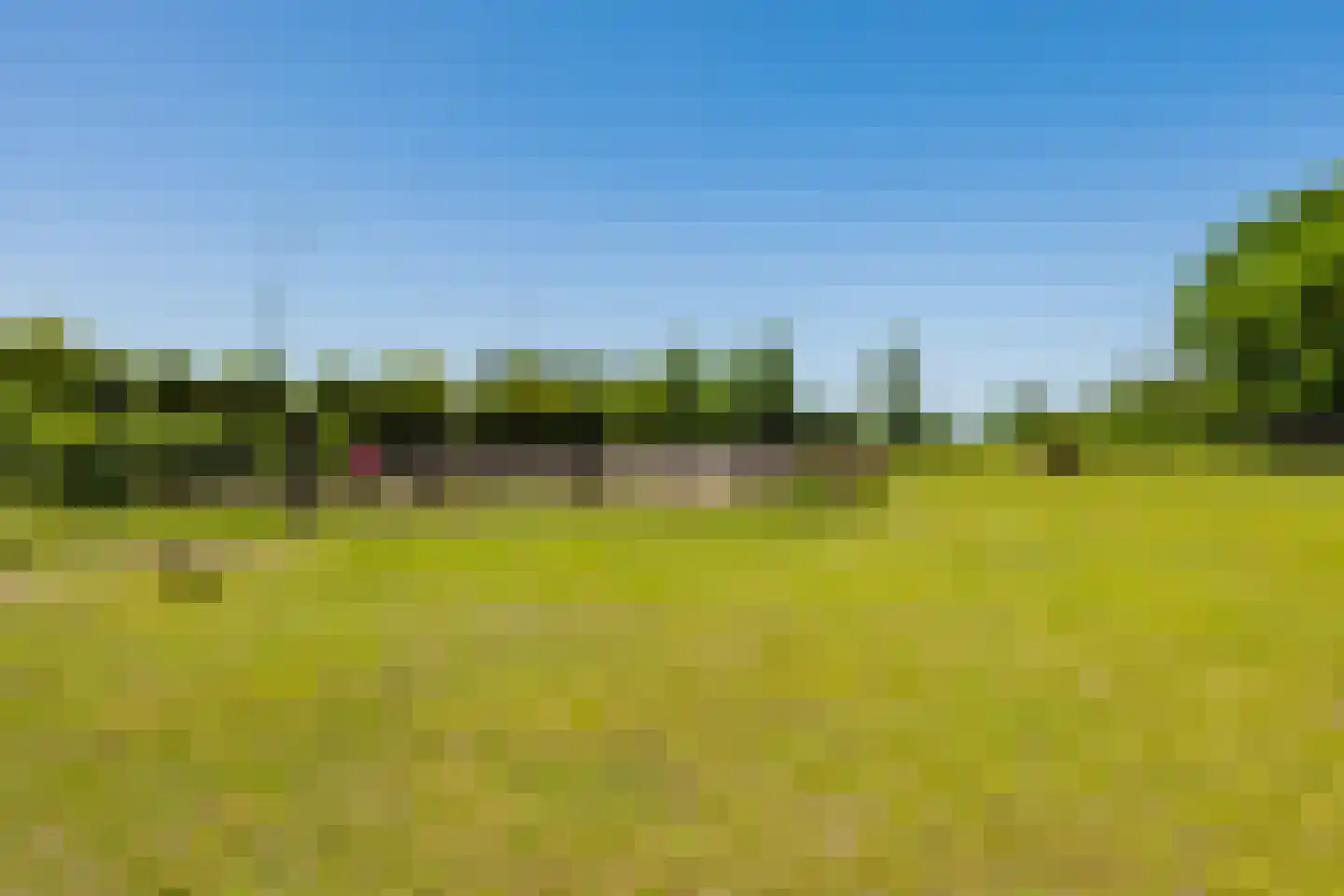 Singel 38 Lippenhuizen thumbnail 33