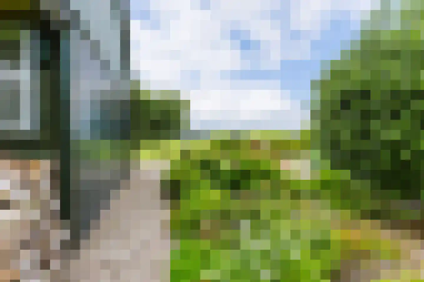 Singel 38 Lippenhuizen thumbnail 34