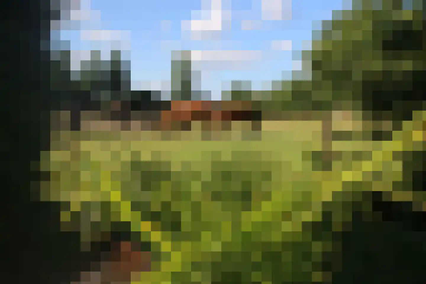 Singel 38 Lippenhuizen thumbnail 38