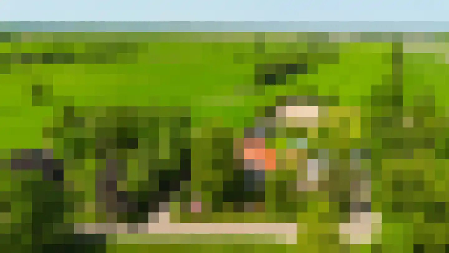 Singel 38 Lippenhuizen thumbnail 40