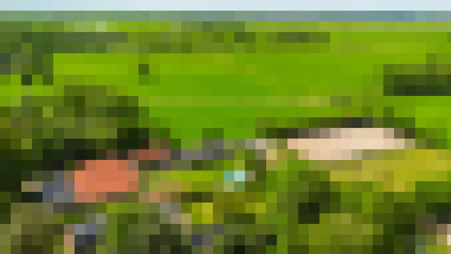 Singel 38 Lippenhuizen thumbnail 41