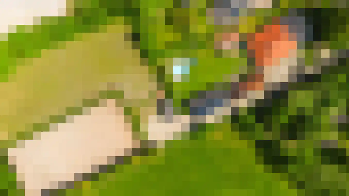 Singel 38 Lippenhuizen thumbnail 42