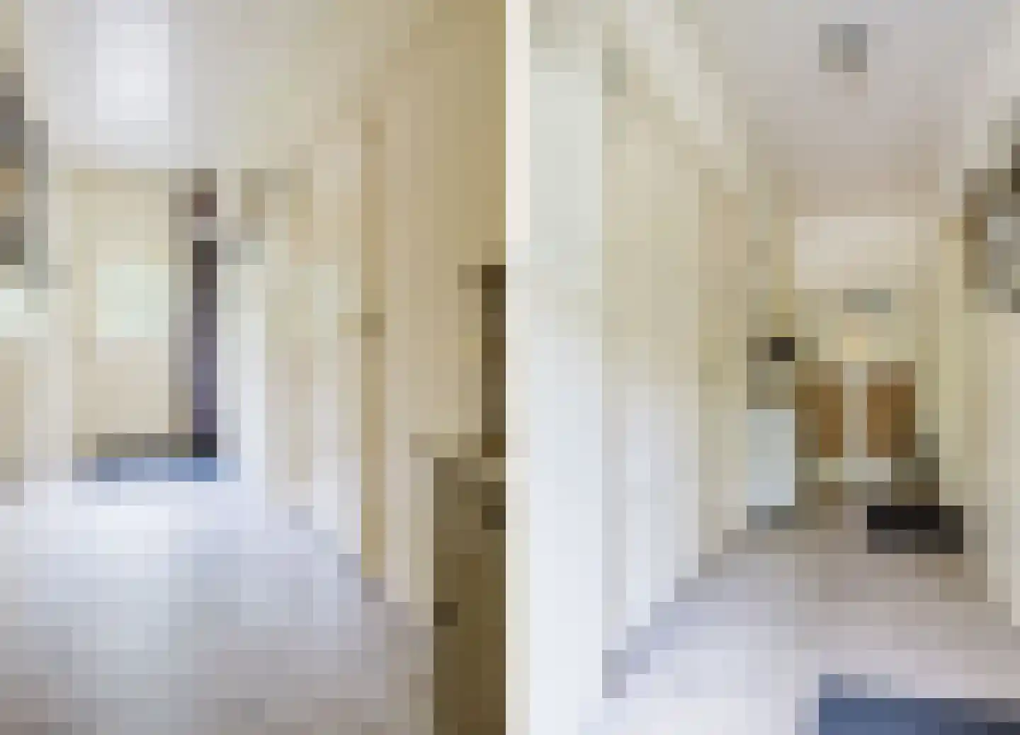 Singel 38 Lippenhuizen thumbnail 43
