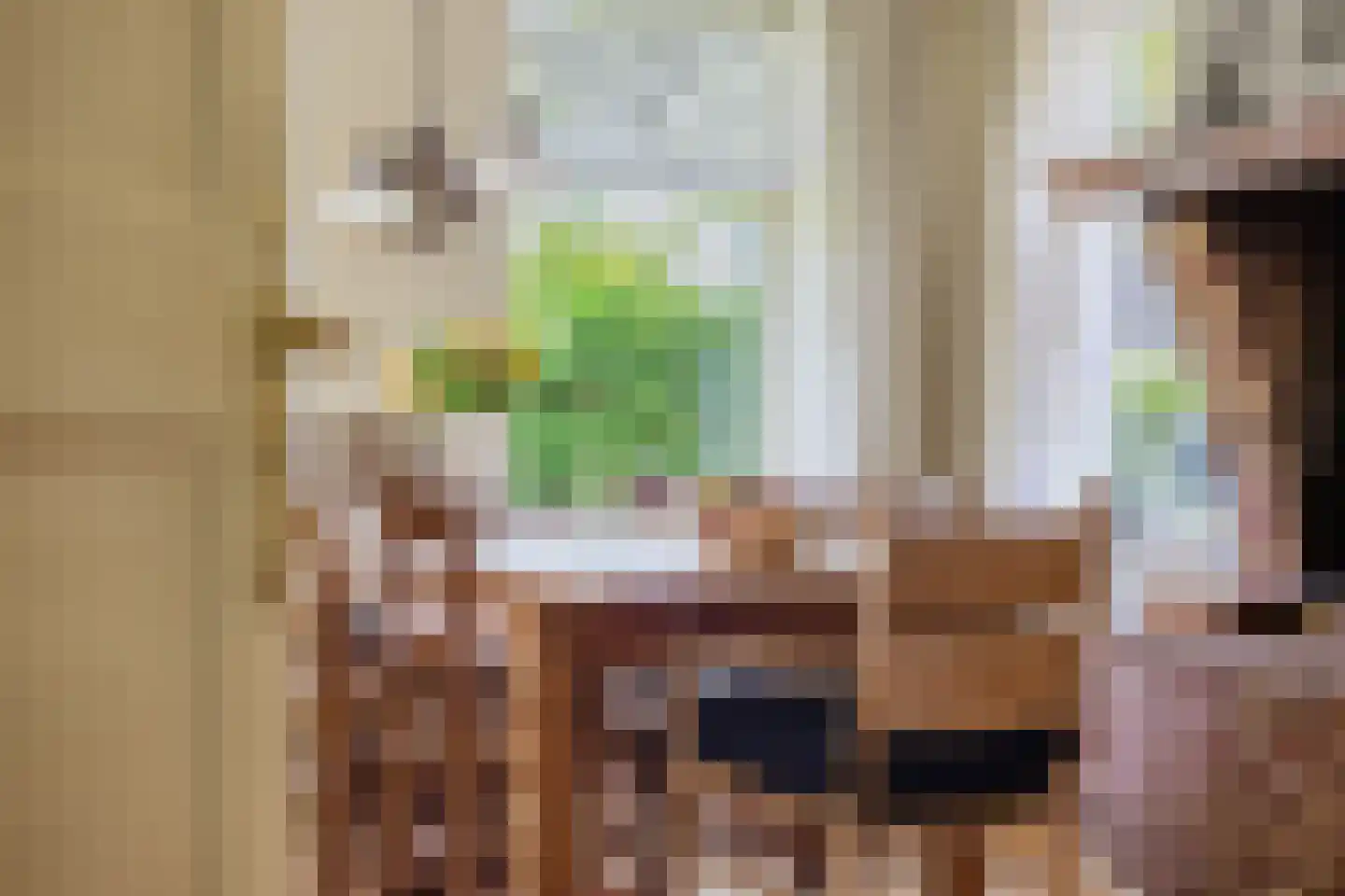 Singel 38 Lippenhuizen thumbnail 44