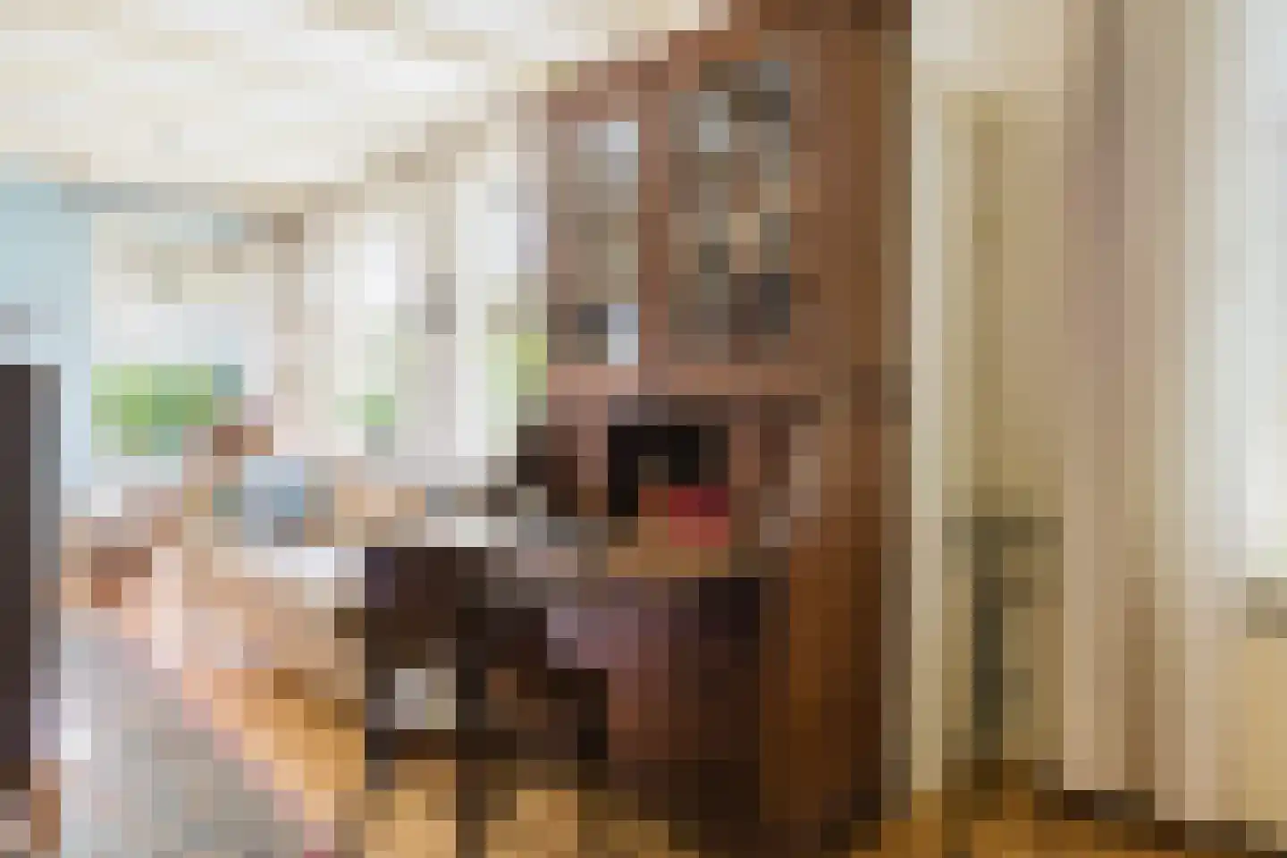 Singel 38 Lippenhuizen thumbnail 46
