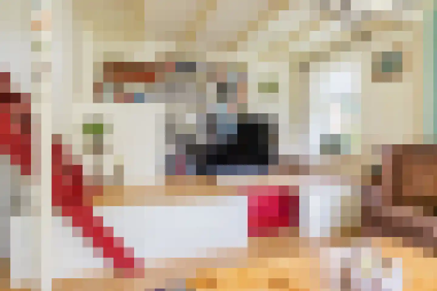 Singel 38 Lippenhuizen thumbnail 48