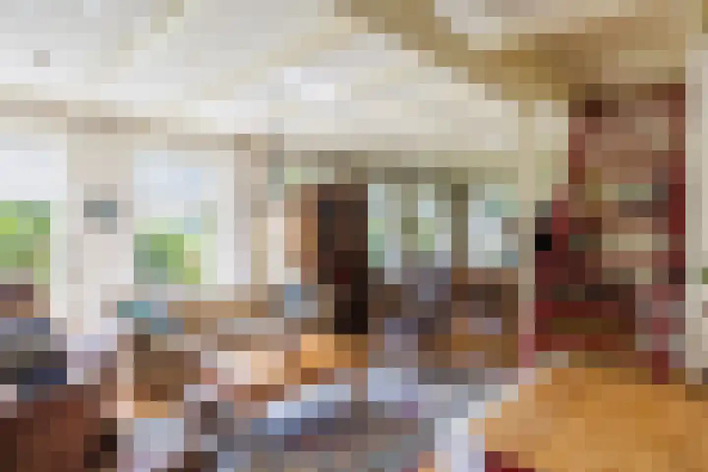 Singel 38 Lippenhuizen thumbnail 49