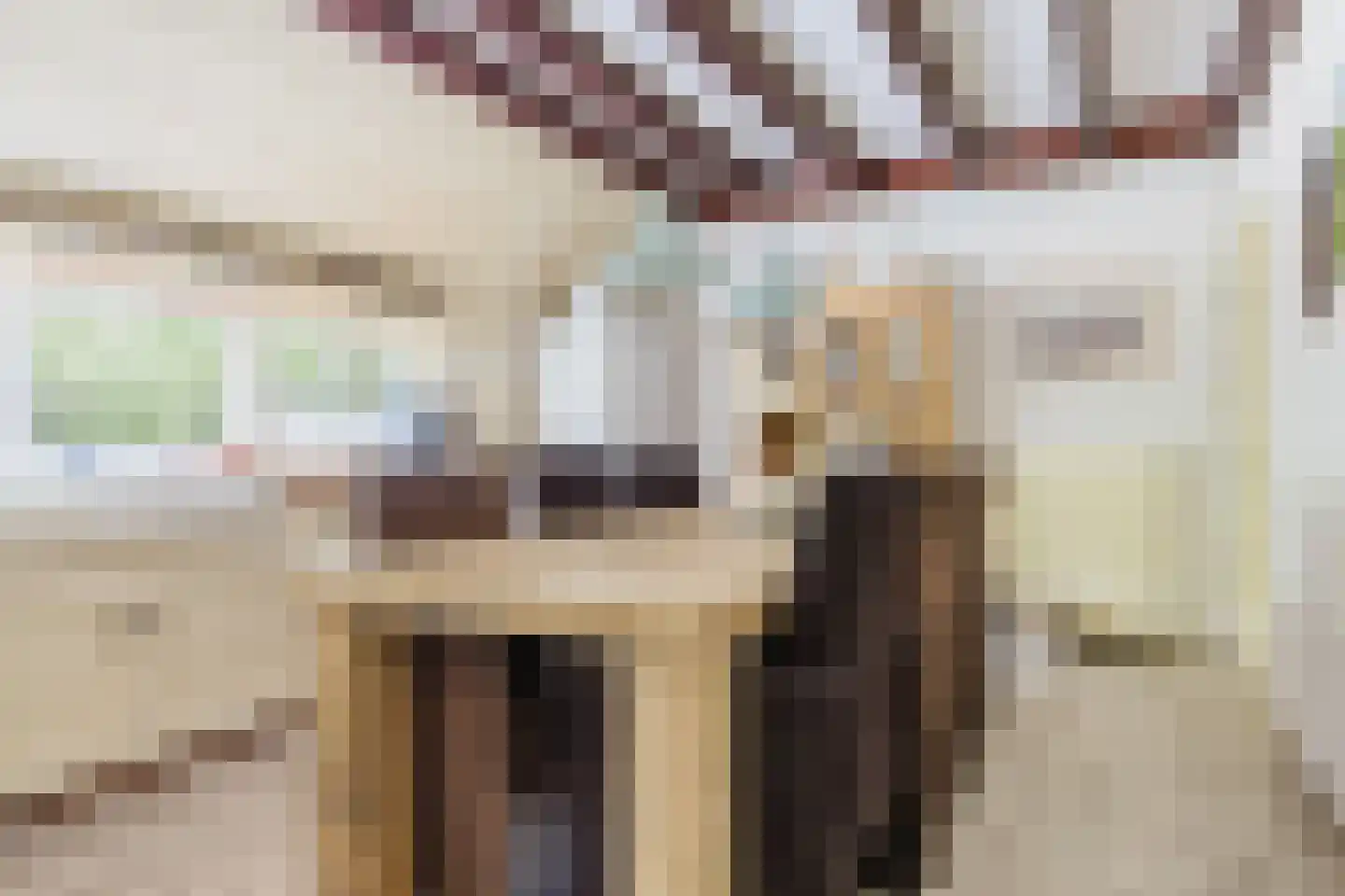 Singel 38 Lippenhuizen thumbnail 50