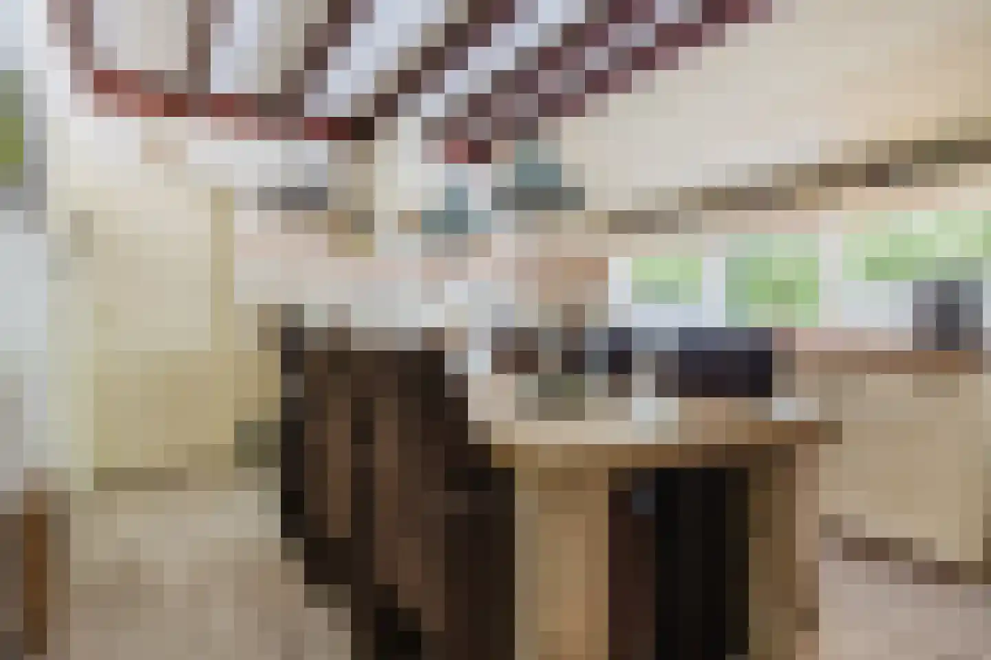 Singel 38 Lippenhuizen thumbnail 51