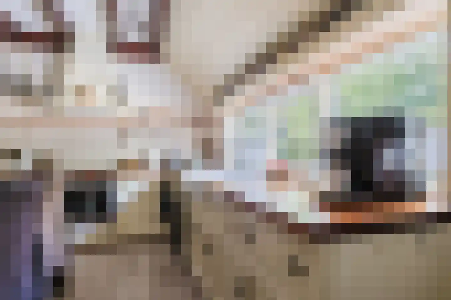 Singel 38 Lippenhuizen thumbnail 52