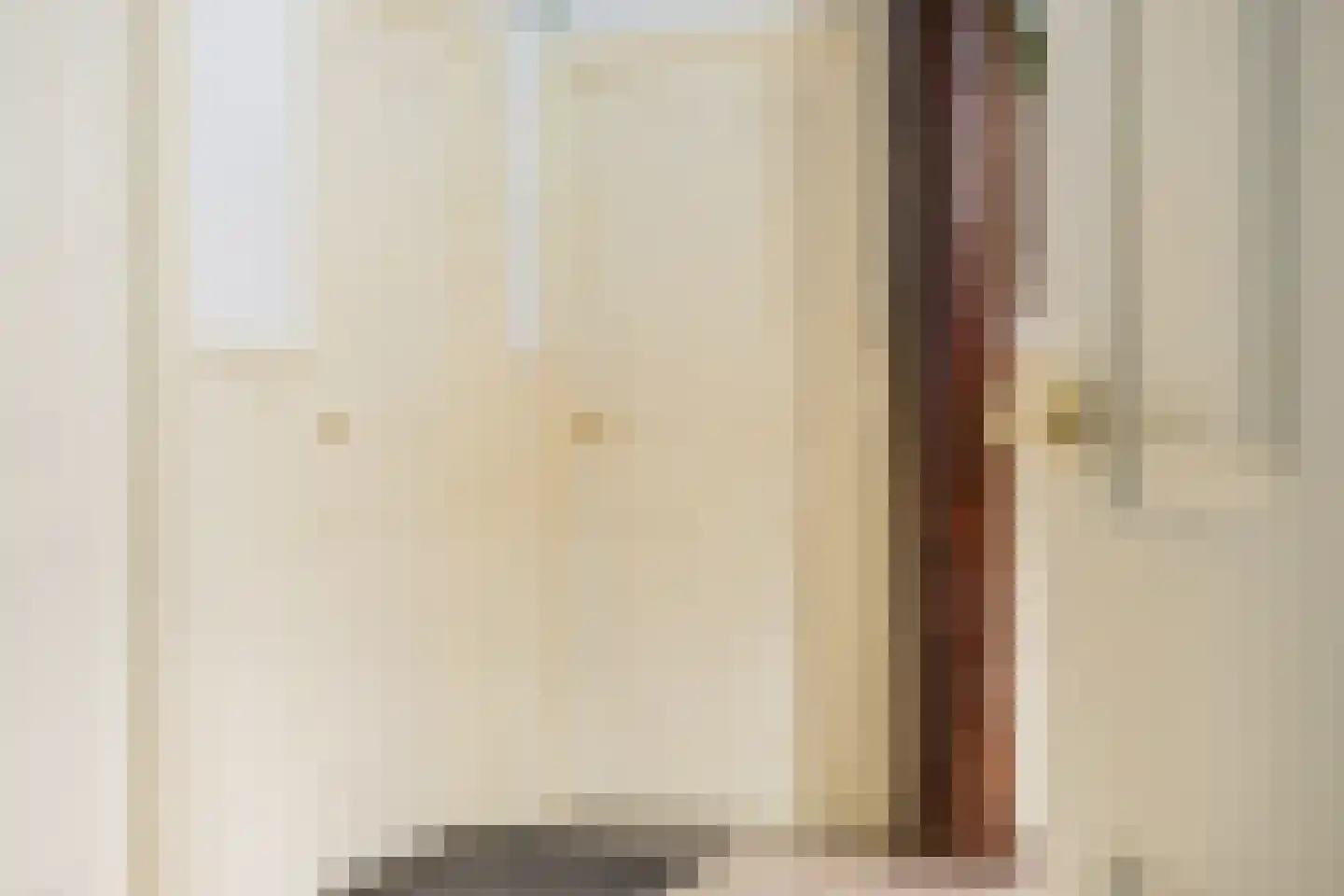 Singel 38 Lippenhuizen thumbnail 53