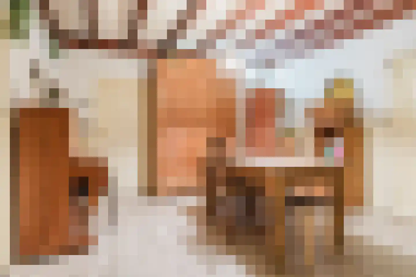 Singel 38 Lippenhuizen thumbnail 54