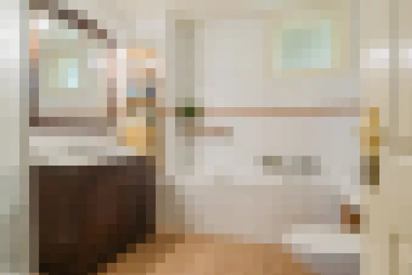 Singel 38 Lippenhuizen thumbnail 56