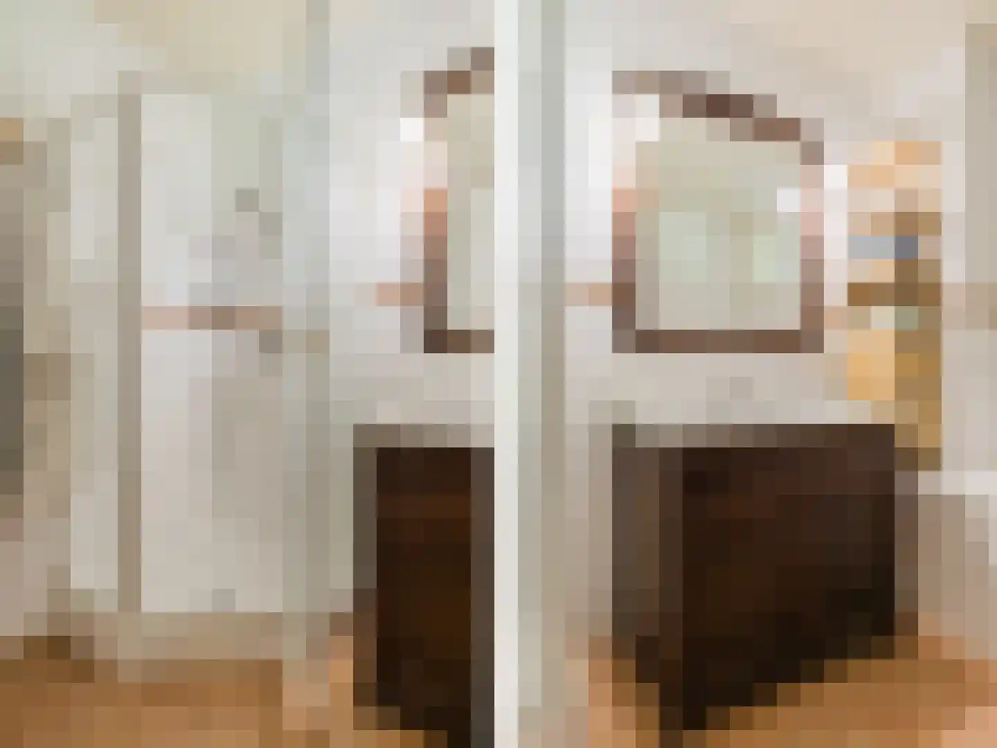 Singel 38 Lippenhuizen thumbnail 57