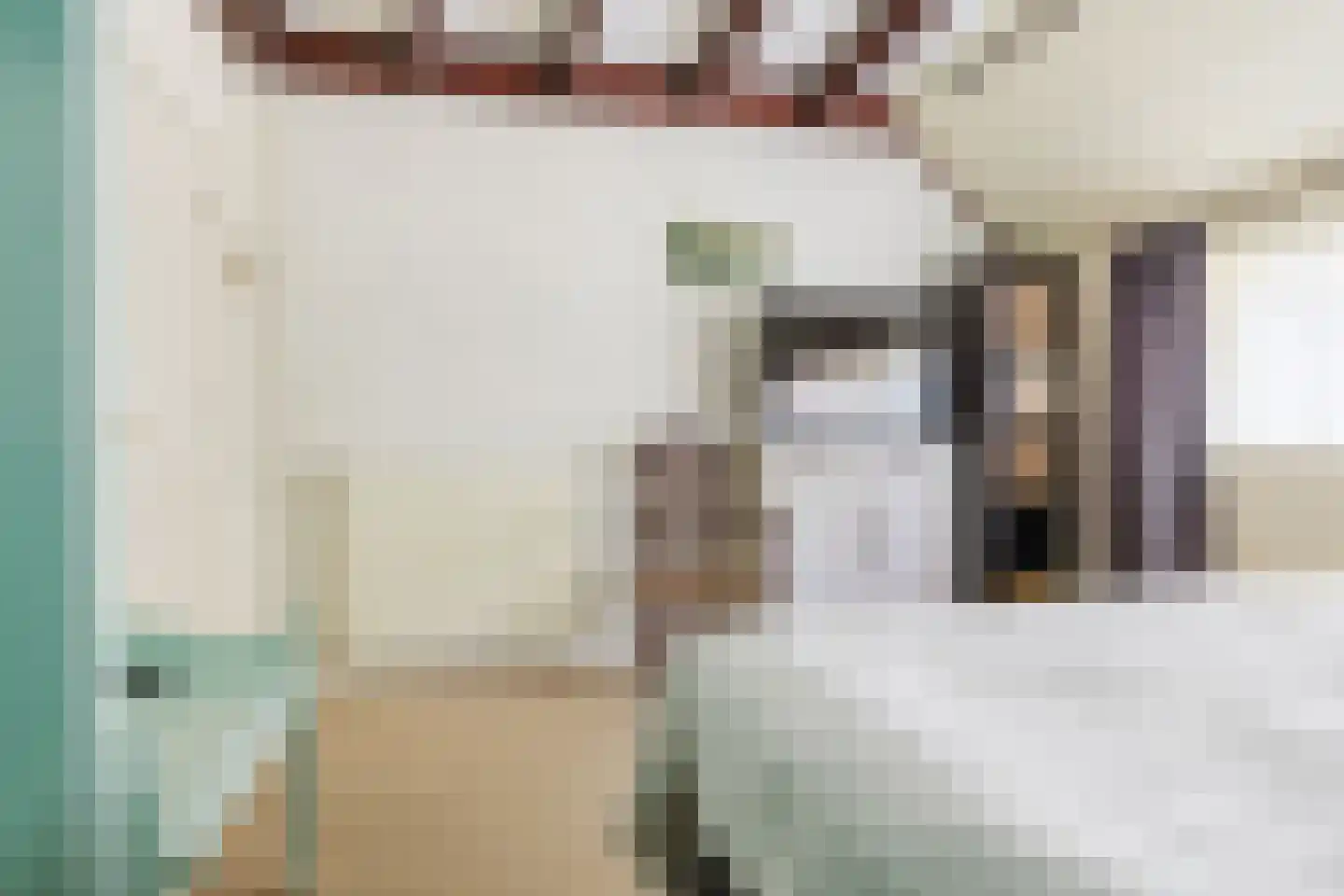 Singel 38 Lippenhuizen thumbnail 60