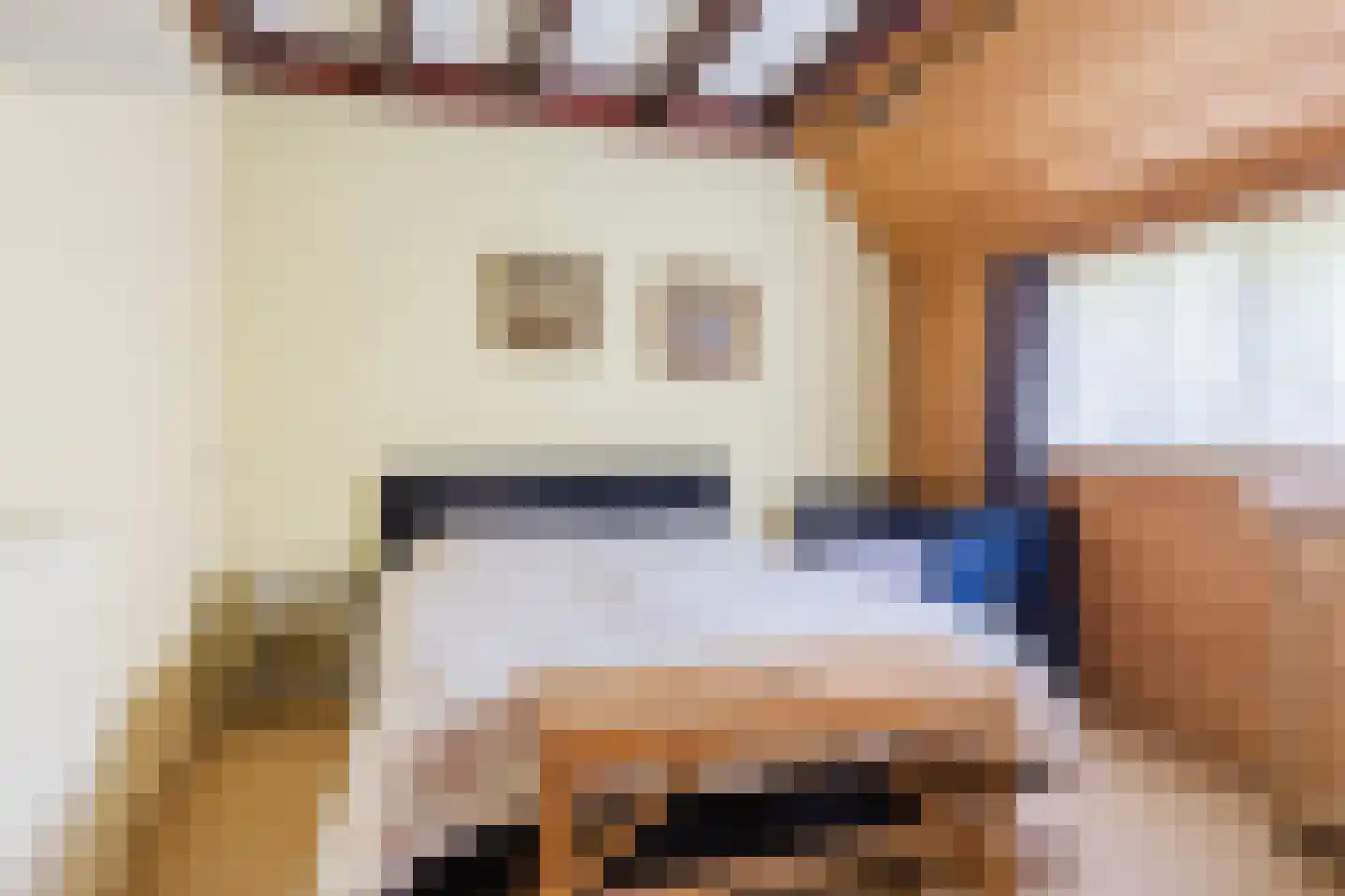 Singel 38 Lippenhuizen thumbnail 62