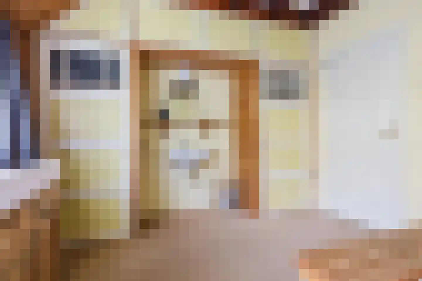 Singel 38 Lippenhuizen thumbnail 63