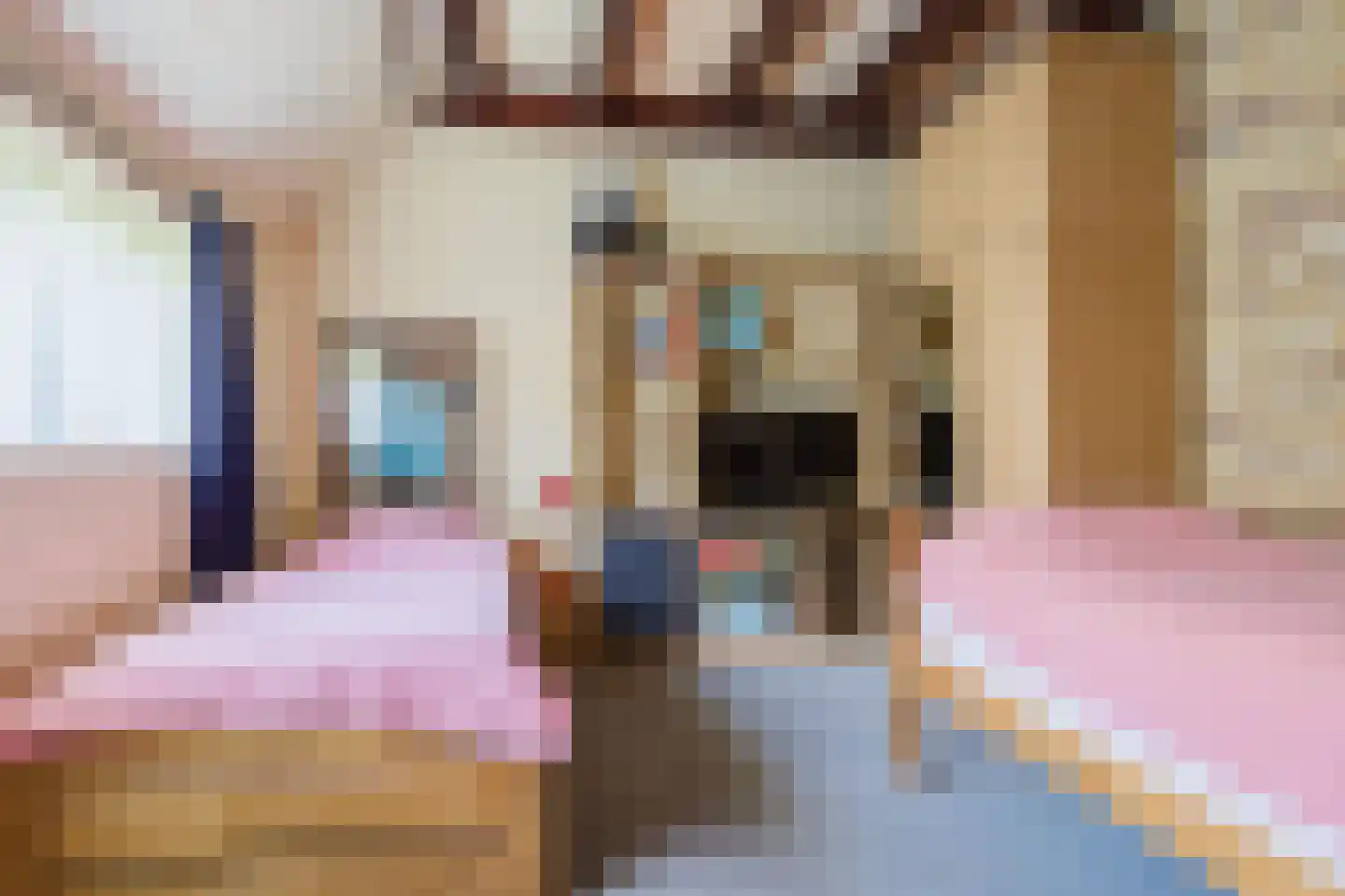 Singel 38 Lippenhuizen thumbnail 64