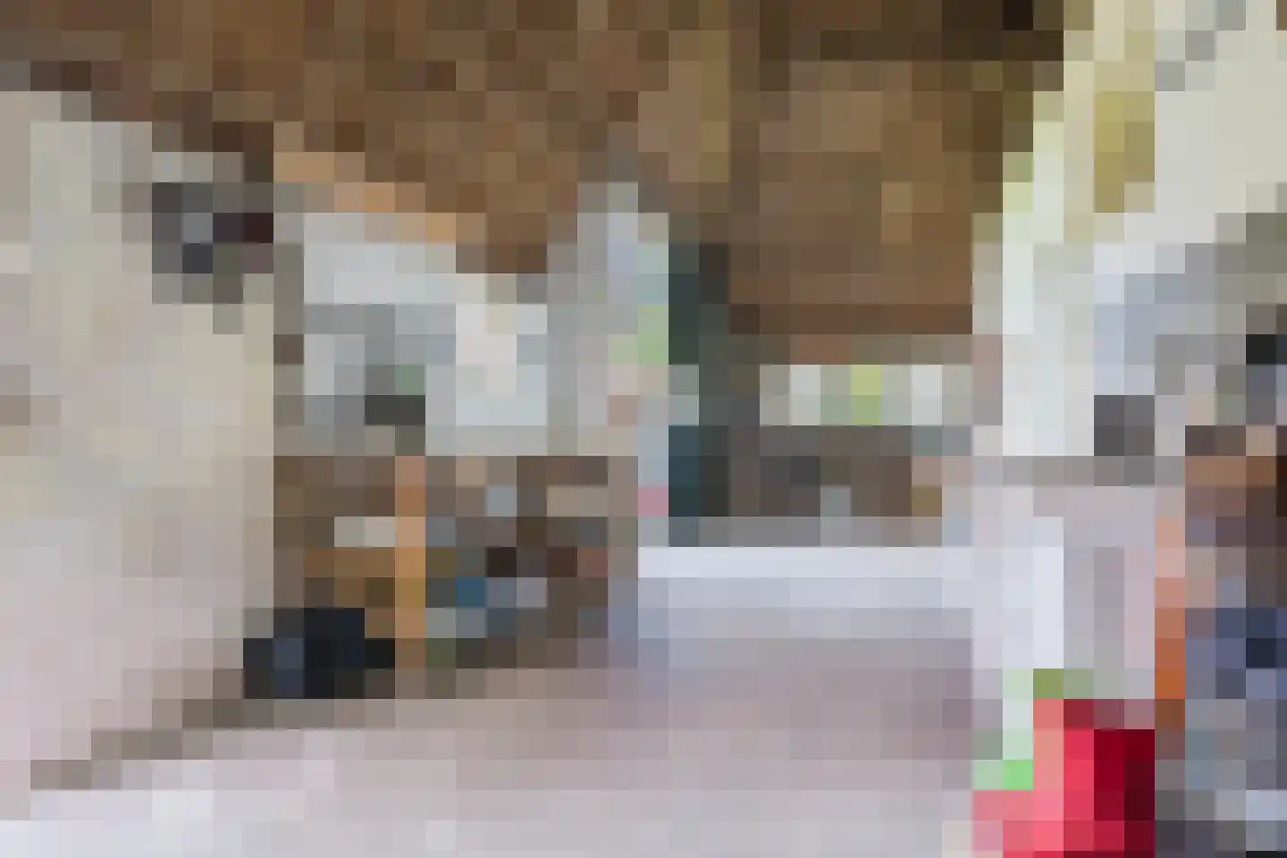 Singel 38 Lippenhuizen thumbnail 67