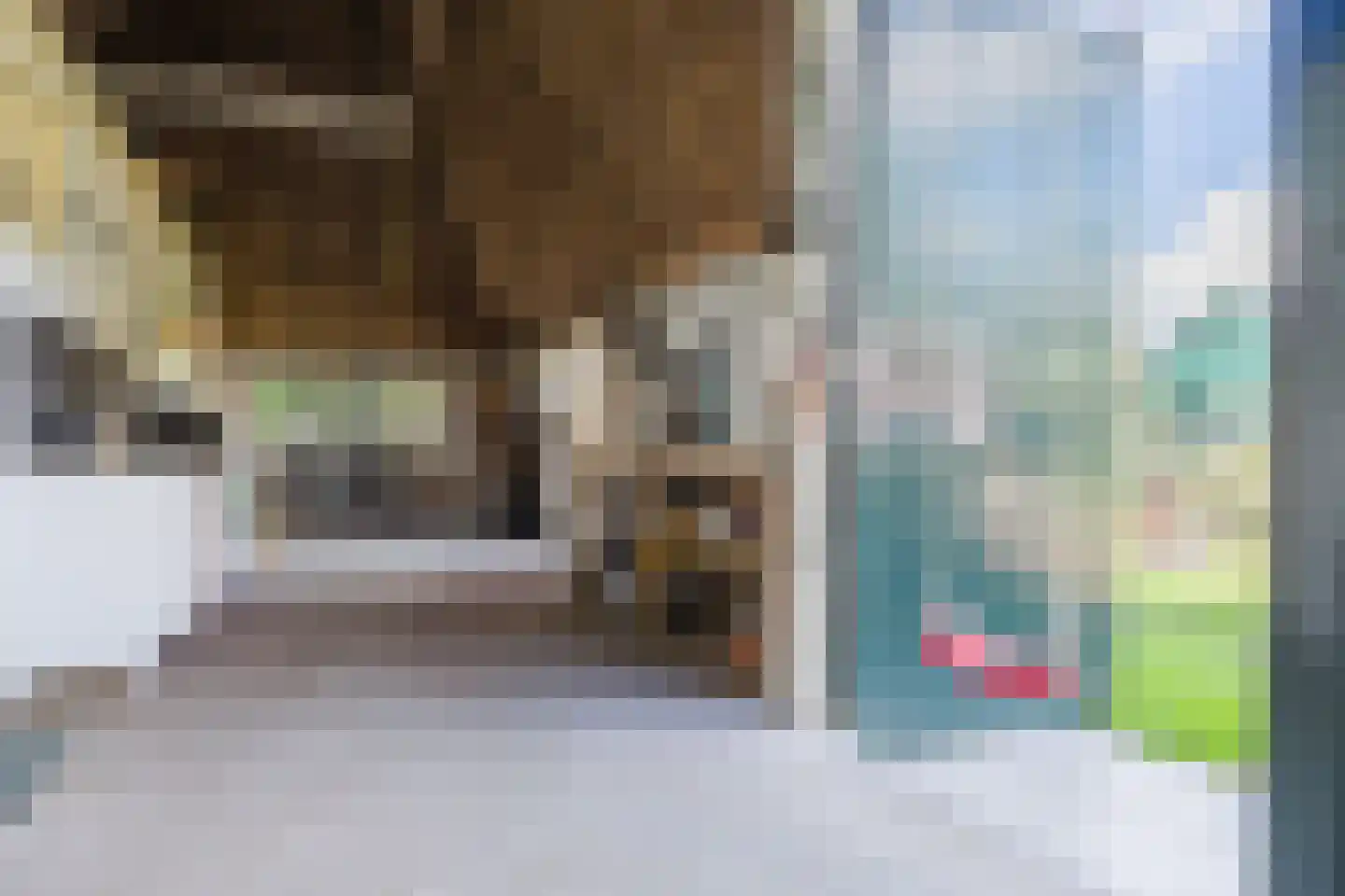 Singel 38 Lippenhuizen thumbnail 68