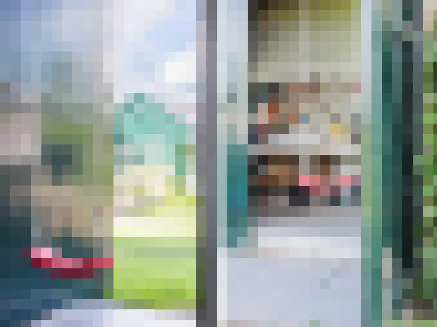 Singel 38 Lippenhuizen thumbnail 69