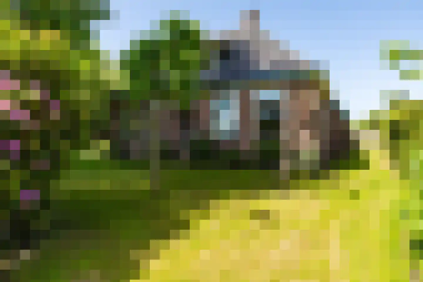 Singel 38 Lippenhuizen thumbnail 7