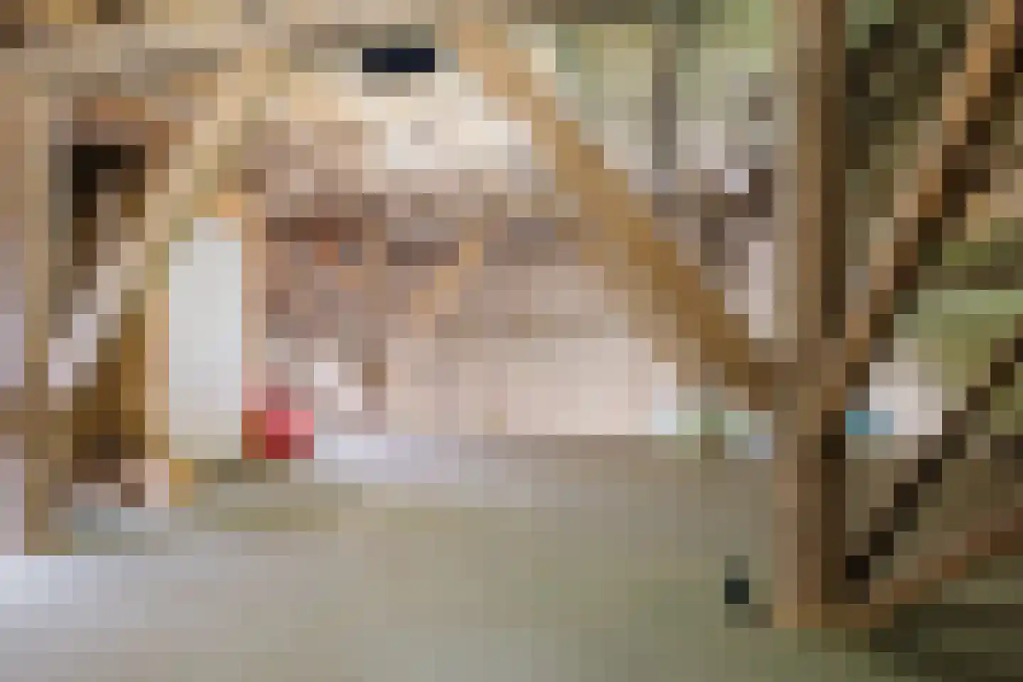 Singel 38 Lippenhuizen thumbnail 70