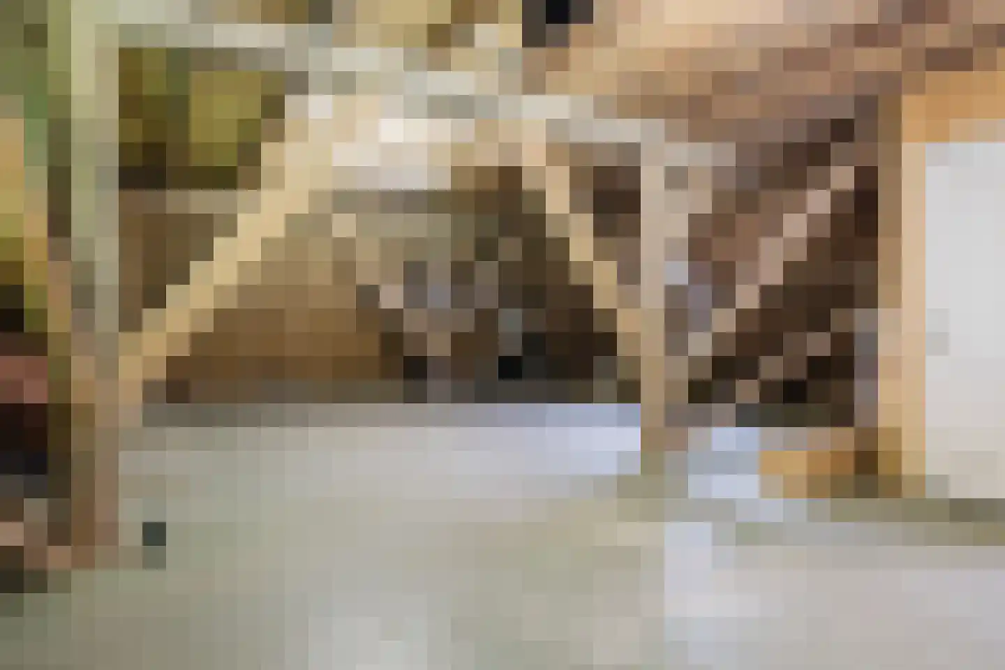 Singel 38 Lippenhuizen thumbnail 71