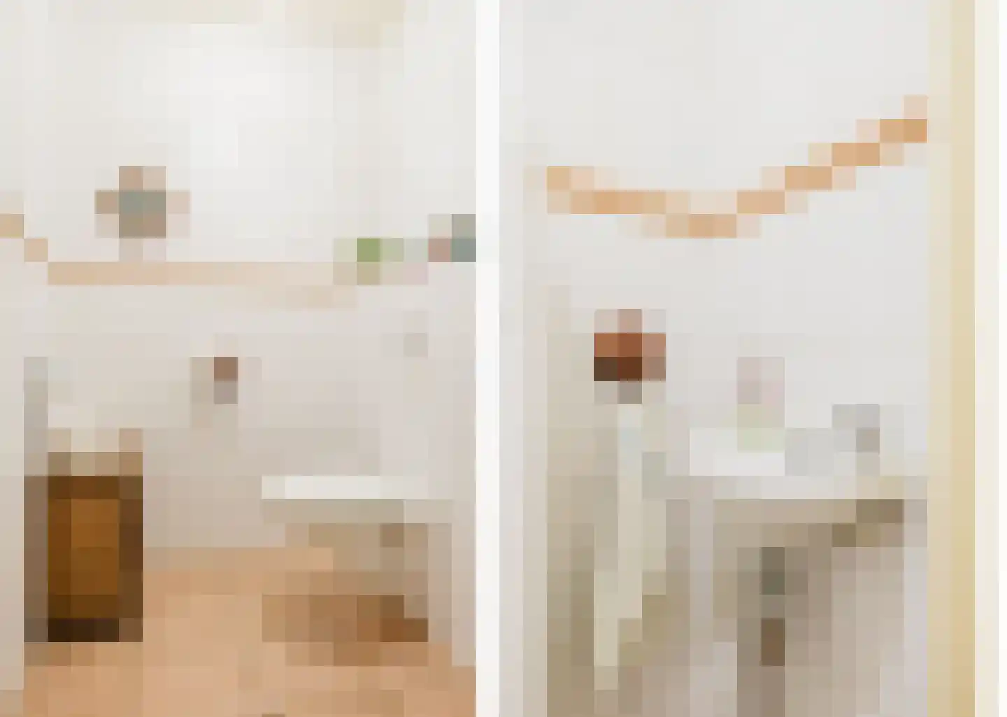 Singel 38 Lippenhuizen thumbnail 72