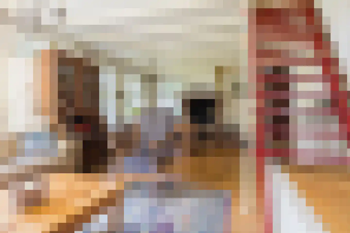 Singel 38 Lippenhuizen thumbnail 73