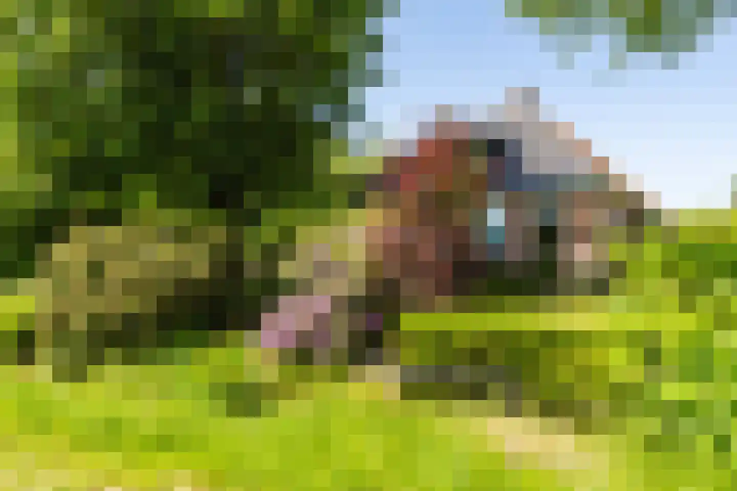 Singel 38 Lippenhuizen thumbnail 9