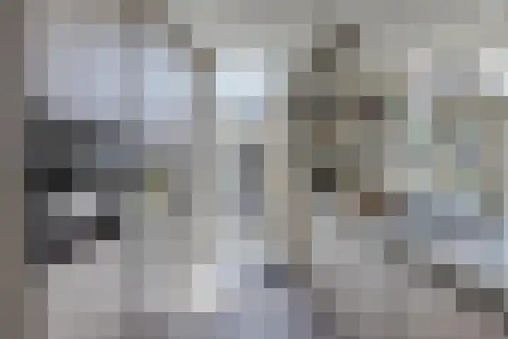 Singel 38 Vlissingen thumbnail 11