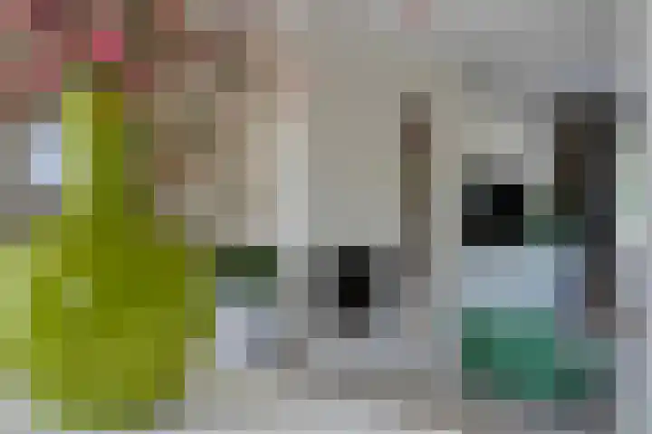 Singel 38 Vlissingen thumbnail 12