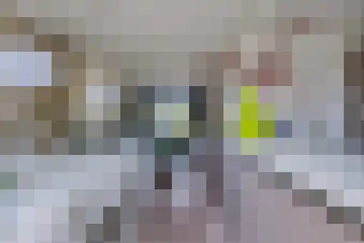 Singel 38 Vlissingen thumbnail 15