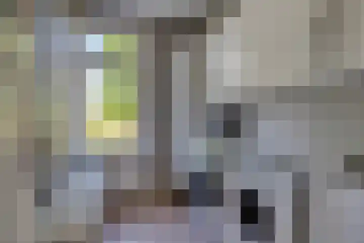 Singel 38 Vlissingen thumbnail 16